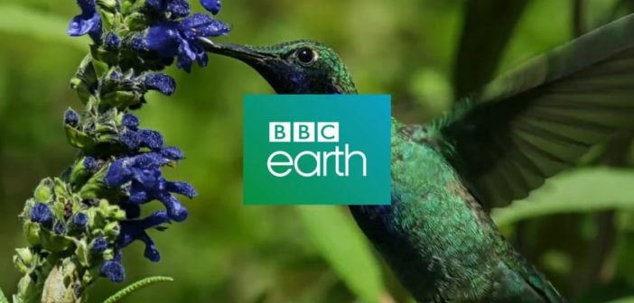 BBC Earth partners with Oculus to produce wildlife VR content